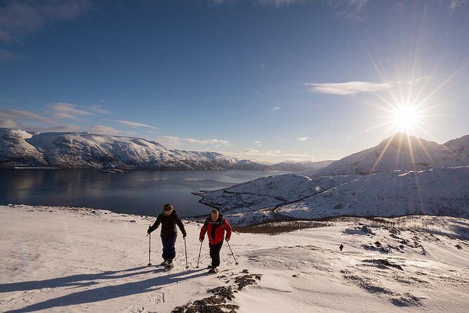 Tromsø: Winter Snowshoeing with Wandering Owl - FAQ
