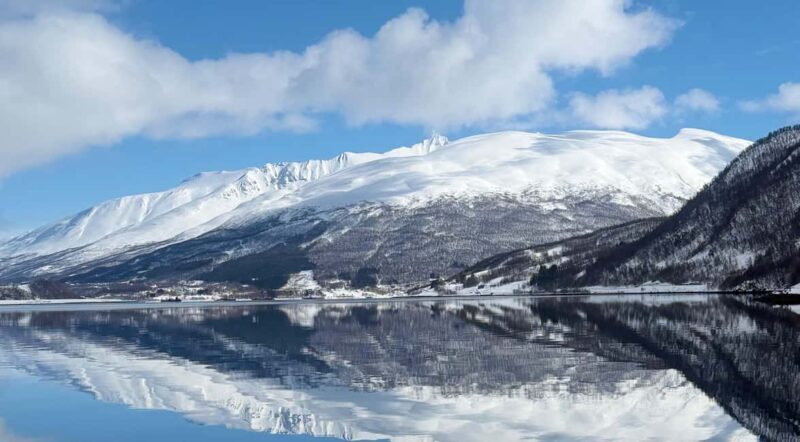 Tromsøs Top-Rated Fjord & Fishing Cruise  Lunch included - A Detailed Look at the Fjord & Fishing Experience