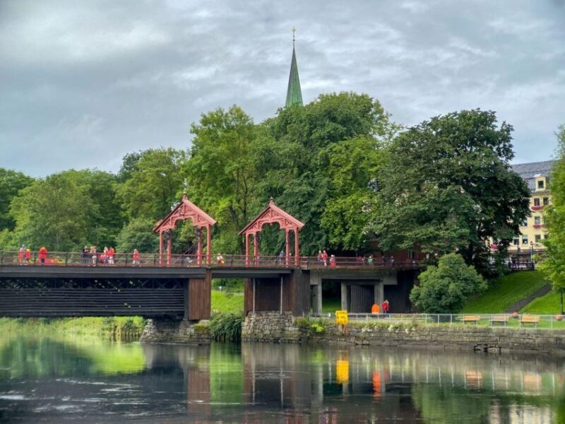 Trondheim: City Highlights Bus and Walking Tour - A Closer Look at the Tour Experience