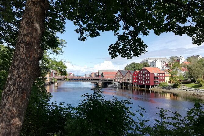 Trondheim: Discover the city of kings with a local guide - A Deep Dive into the Tour Experience