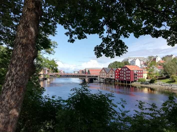 Trondheim : Explore the city of kings with a local guide - Key Points