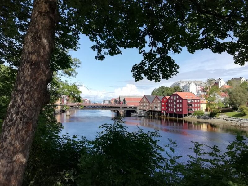 Trondheim : Explore the city of kings with a local guide - Practical Tips for Travelers