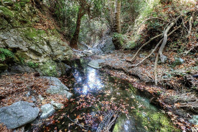 Troodos Jeep Safari from Protaras,Ayia napa & Larnaca - Who Will Love This Tour?