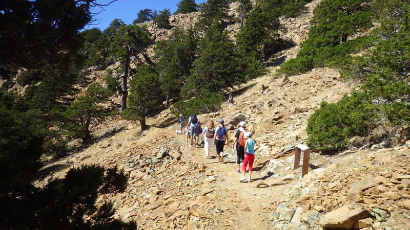 Troodos walking trip - FAQ
