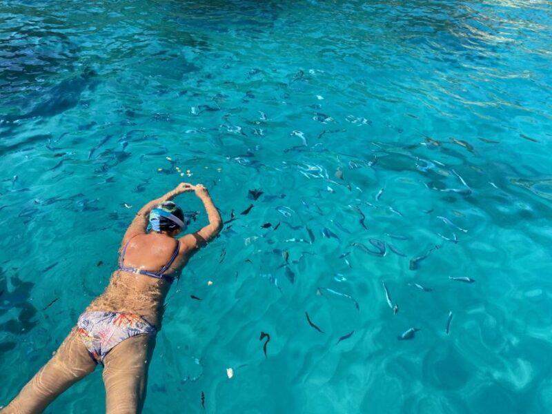 Tropea: Capo Vaticano Boat Trip with Snorkeling & Drink - Frequently Asked Questions