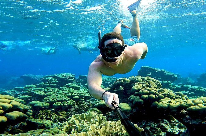 Tropical Dream Snorkel and Dinner Sail in Aruba - Authentic Experiences Shared by Guests