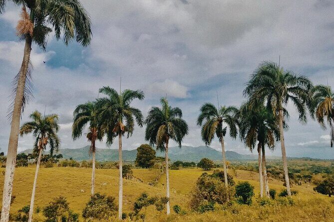 Tropical Escape Tour - Value and Pricing: Is It Worth It?