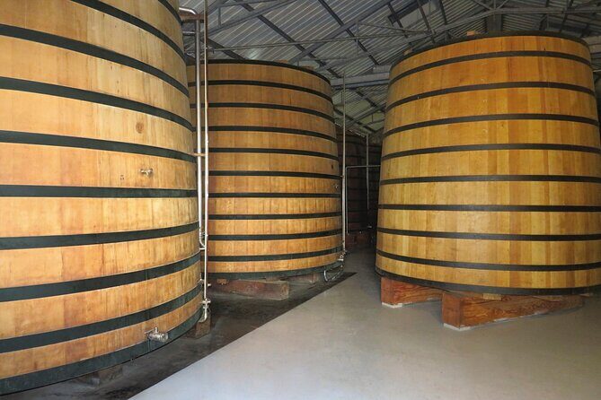 Tropical Island Private Tour of Martinique - Final Thoughts