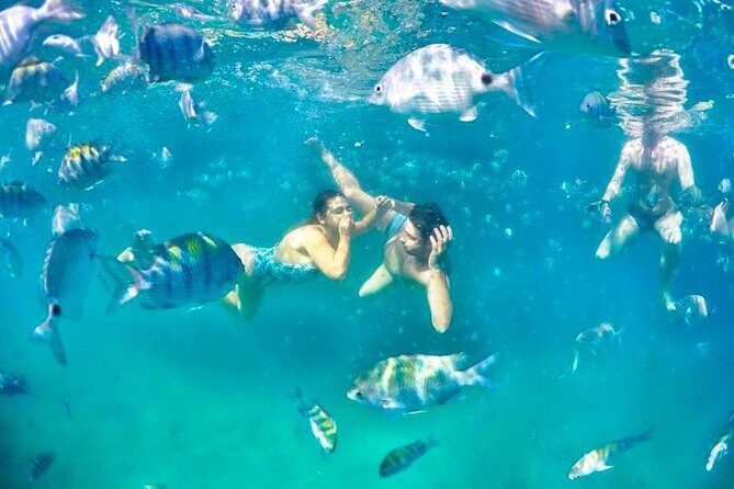 Tropical Paradise Ilha Grande on a Private Fastboat Tour - Key Points