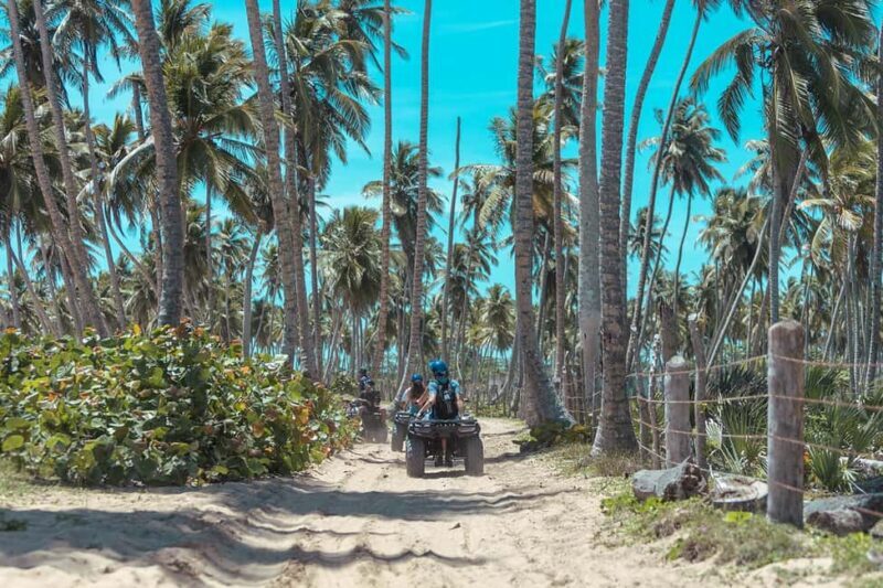 Tropical Quads in Punta Cana - Who Will Love This Tour?