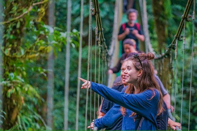 Tropical Rainforest, Hanging Bridges And Jungle Sloths Sanctuary - An Overview of the Experience