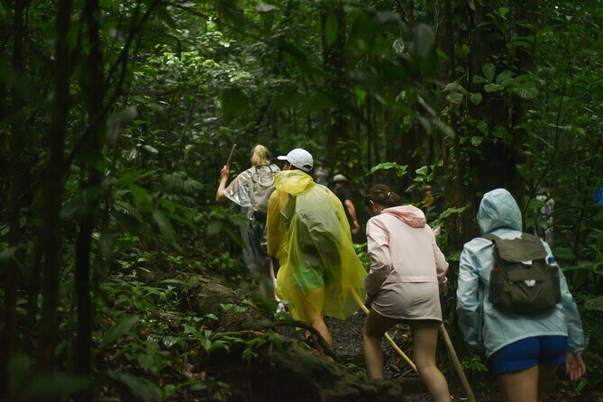 Tropical Rainforest, Hanging Bridges And Jungle Sloths Sanctuary - FAQs About the Tour