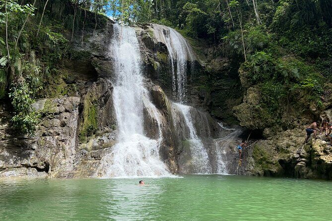 Tropical Rainforest Luxury Experiences - A Complete Guide to Tropical Rainforest Luxury Experiences in Puerto Rico