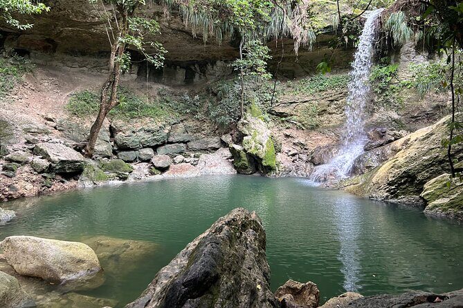 Tropical Rainforest Luxury Experiences - Key Points