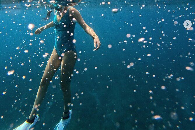 Tropical Reef & Wildlife Boat Snorkel Adventure - An In-Depth Look at the Tropical Reef & Wildlife Boat Snorkel Adventure