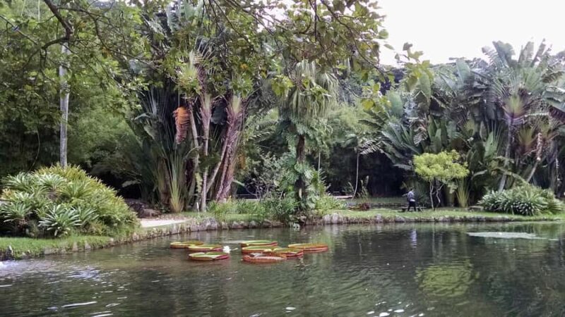 Tropical Wonders: Discover Rio's Jardim Botânico & Tijuca - An In-Depth Look at the Rio Tropical Wonders Tour