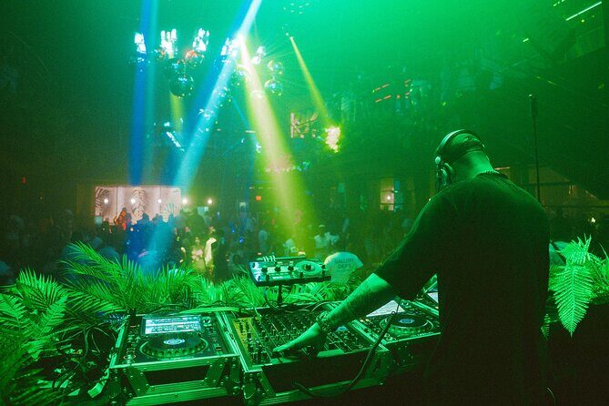 Tropicalia Disco  Party Night  Nightclub - A Detailed Look at the Tropicalia Disco Experience