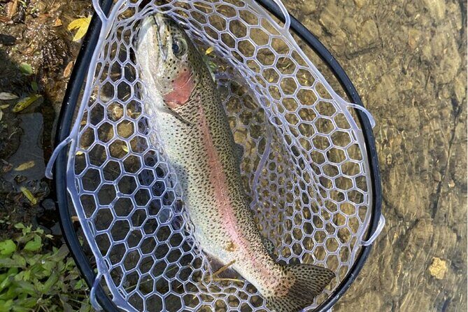 Trout Fishing Adventure Near Tokyo - Trout Fishing Adventure Near Tokyo: A Guide to an Authentic Outdoor Experience