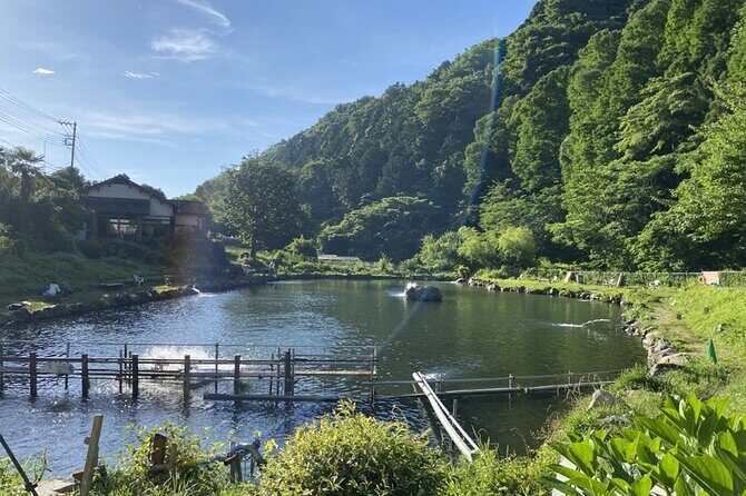 Trout Fishing Adventure Near Tokyo - Key Points
