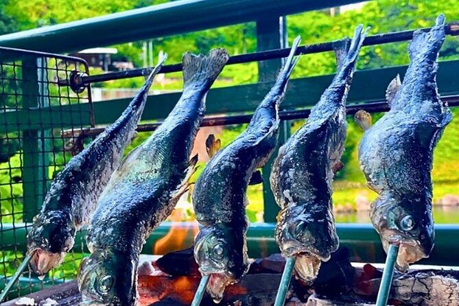 Trout Fishing Adventure Near Tokyo - Final Thoughts: Is This Tour for You?