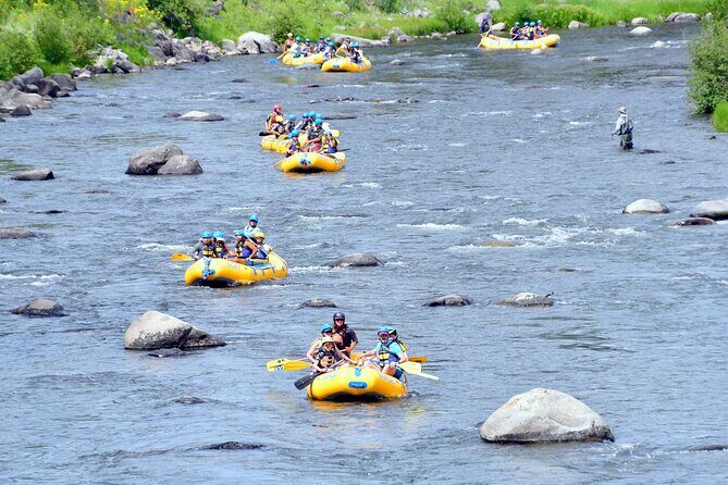 Truckee River: Boca to Floriston Run (Class III Whitewater) - What to Expect on Your Truckee River Whitewater Adventure