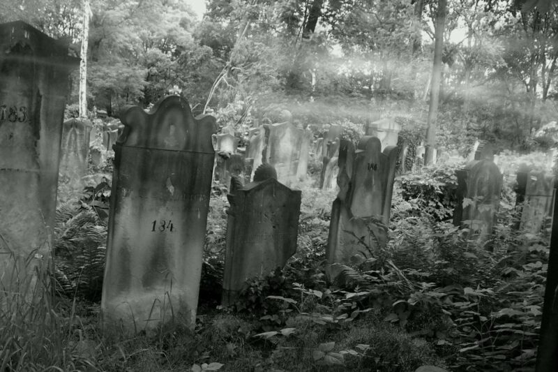 True Crime Philadelphia and History Tour - Final Thoughts: Why This Tour Should Be on Your List