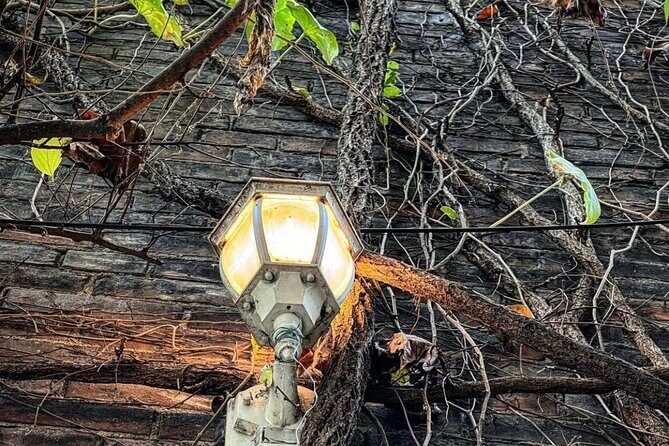 True Crime Walking Tour in Soulard Neighborhood - A Closer Look at the True Crime Walking Tour in Soulard Neighborhood