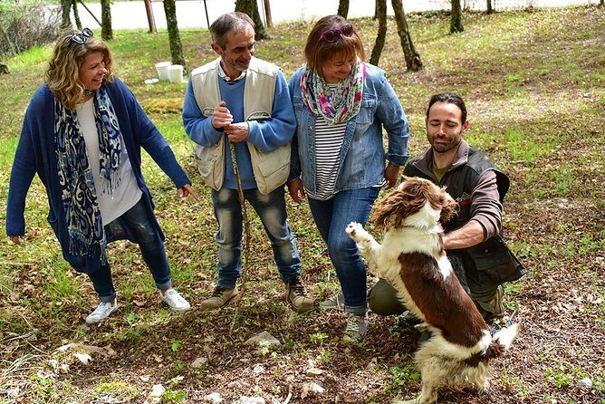 Truffle Hunt & Bio Lunch in Assisi - A Deep Dive into the Truffle Hunt & Bio Lunch Experience