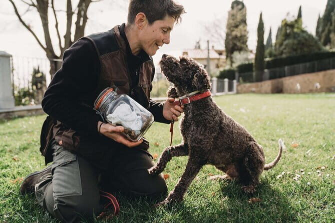 Truffle hunt in Chianti with cooking class and sunset dinner - The Scenic Drive through Chianti