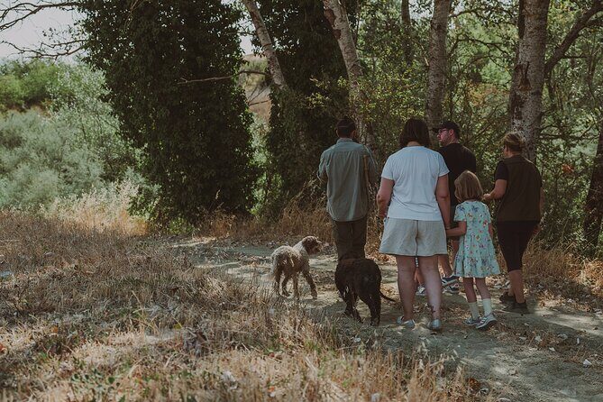 Truffle Hunt in Tuscany - Discovering the Heart of Tuscany’s Culinary Traditions
