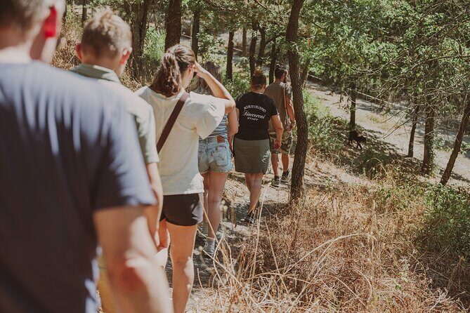 Truffle Hunt in Tuscany - The Value of This Experience