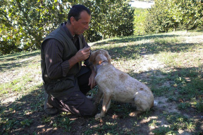 Truffle Hunt & Wine Tasting - Key Points