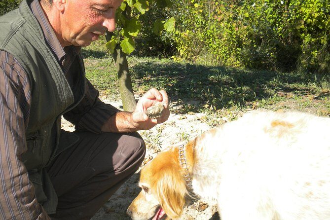 Truffle Hunt & Wine Tasting - Who Should Consider This Tour?