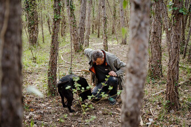 Truffle Hunting and 3-course Truffle Brunch in Motovun - The Itinerary: What You Can Expect