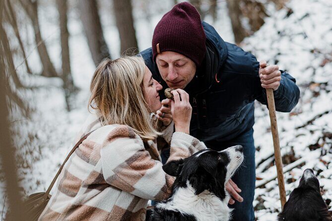 Truffle Hunting and Cheese, Truffle & Wine Tasting near Alba - Key Points