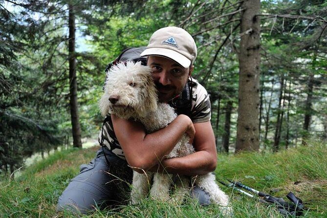 Truffle hunting and lunch experience in a restaurant - Exploring the Truffle Hunting Tour in Detail