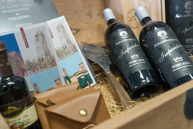 Truffle hunting and lunch experience, with Vinci and winery. - The Itinerary: What You Can Expect