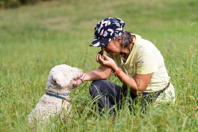 Truffle Hunting and Lunch in Piedmont Trattoria - Practical Tips for a Smooth Day