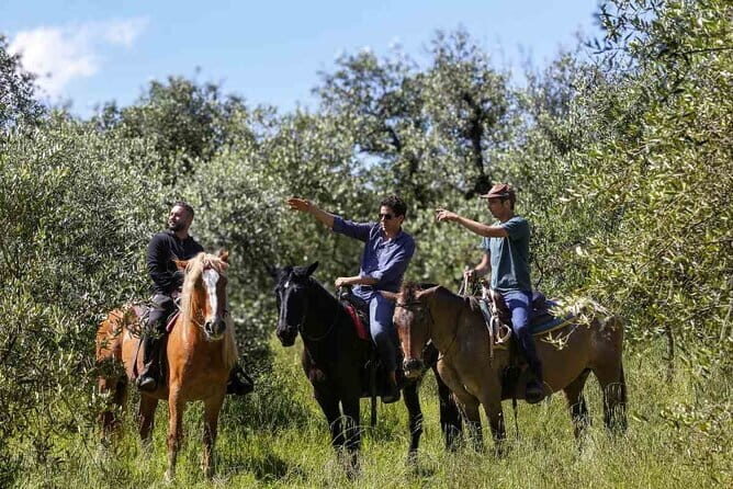 Truffle Hunting and Tasting in San Gimignano with a Tuscan Lunch - Who Should Consider This Tour?