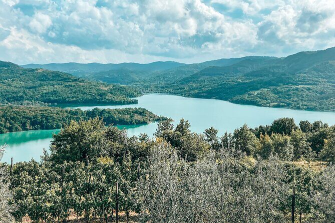 Truffle hunting & cooking tour - The Sum Up: Who Should Consider This Tour?
