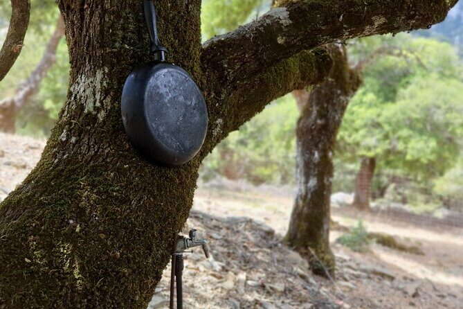 Truffle Hunting, Culinary & Wine Celebration from Elounda - Exploring the Tour in Detail