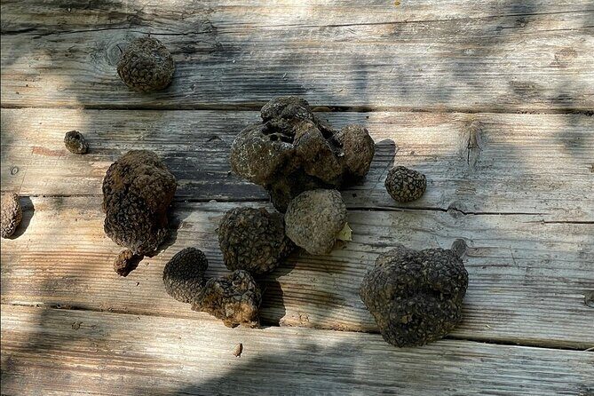 Truffle Hunting, Culinary & Wine Celebration from Elounda - Stop 2: Krasi & Windmill Photos