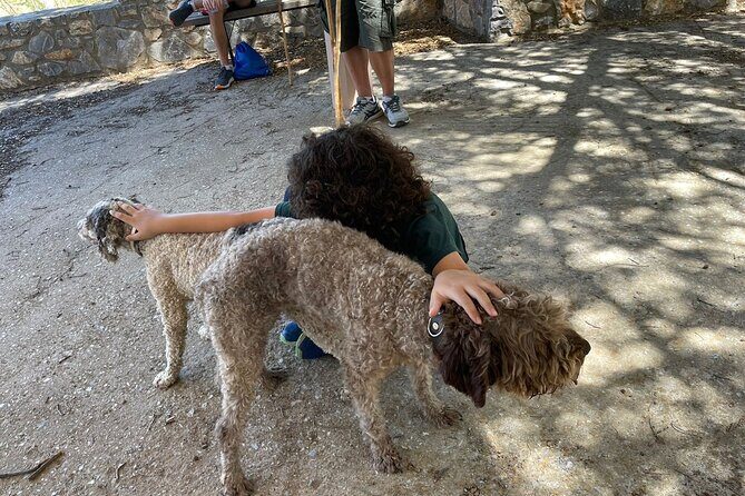 Truffle Hunting, Culinary & Wine Celebration from Elounda - Stop 3: Truffle Hunt at the 1882 Cretan Mansion