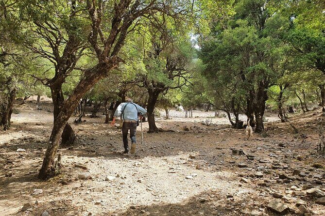 Truffle Hunting, Culinary & Wine Celebration from Heraklion - Final thoughts