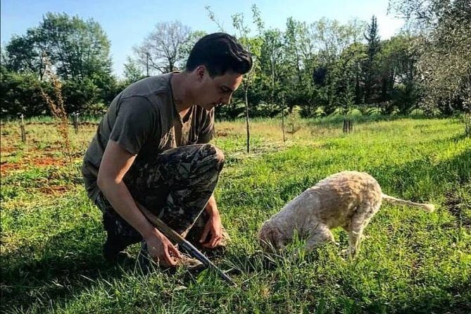 Truffle hunting - An In-Depth Look at the Truffle Hunting Experience in Tuscany