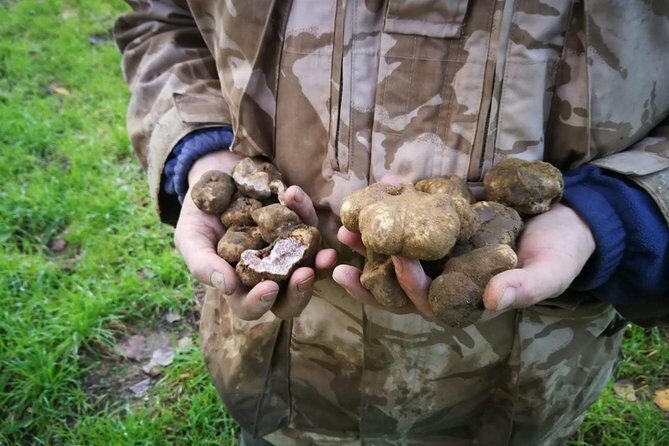 Truffle hunting - Final Thoughts