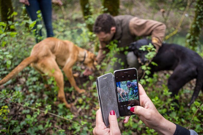 Truffle Hunting Experience and Tasting - What the Tour Offers: From Forest to Flavour