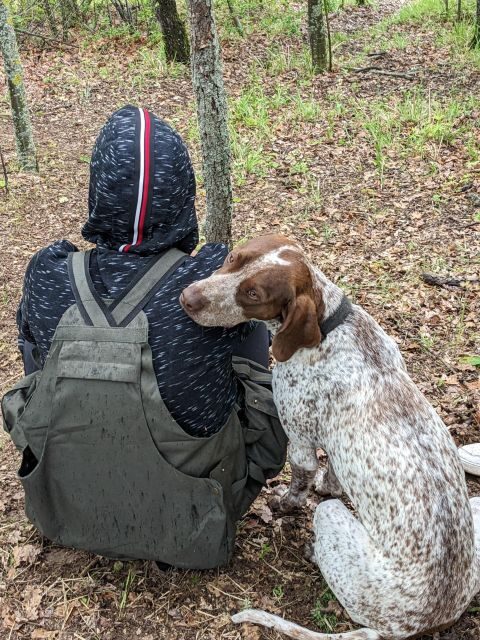 Truffle Hunting Experience with a Guide - The Value of the Experience