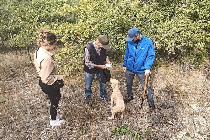 Truffle hunting experience with lunch and Chianti wine tasting - Key Points