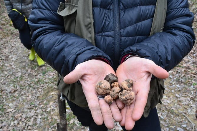 Truffle Hunting Experience with Lunch in San Miniato - Frequently Asked Questions